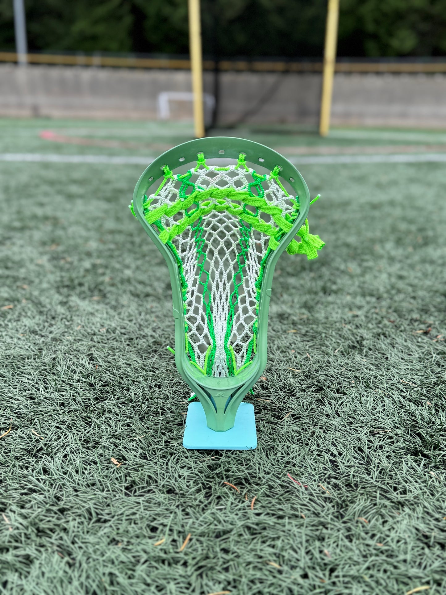 Alpha Ascension strung head