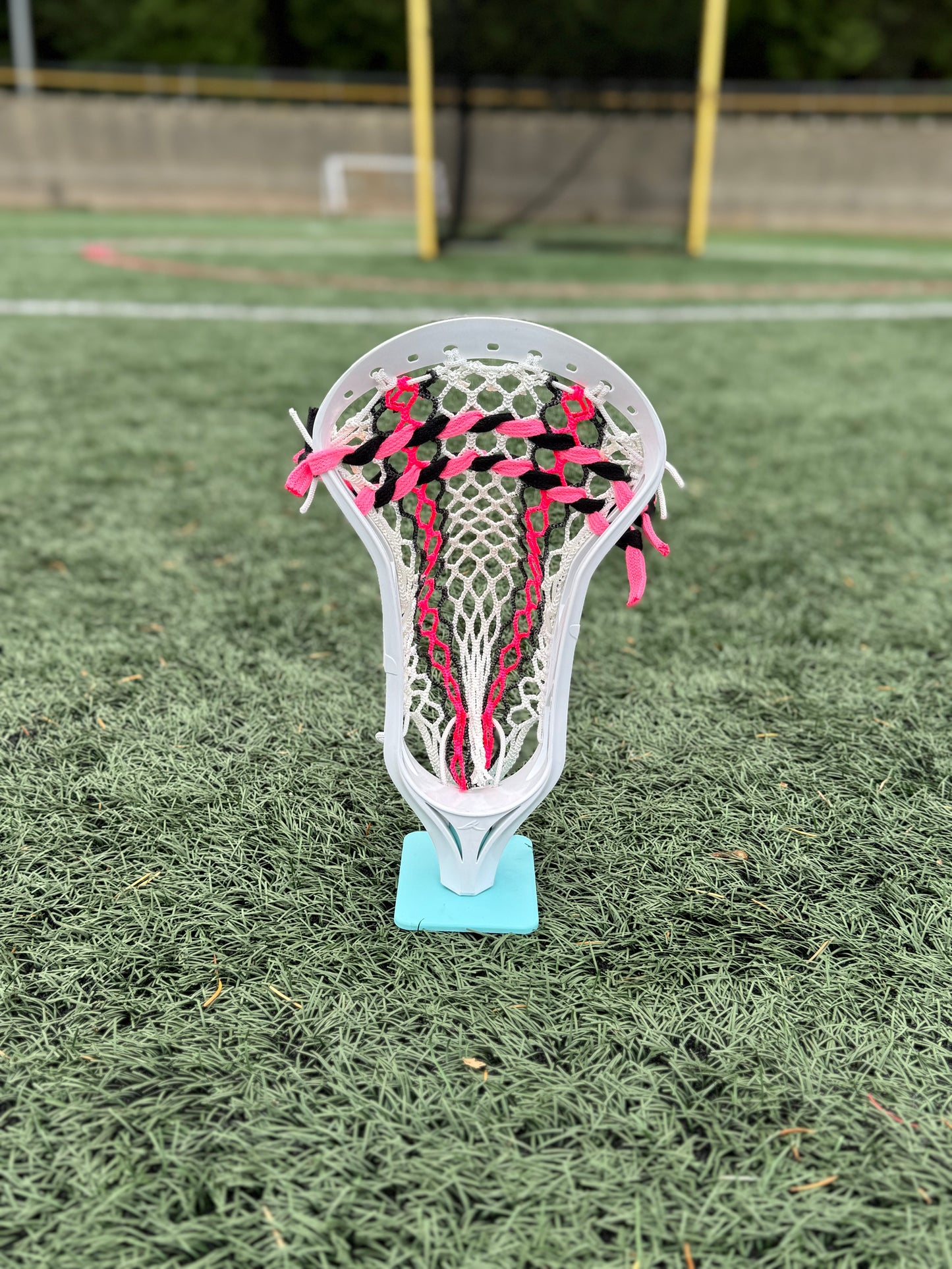 Alpha Ascension strung head